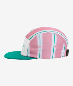 Baseline Five Panel