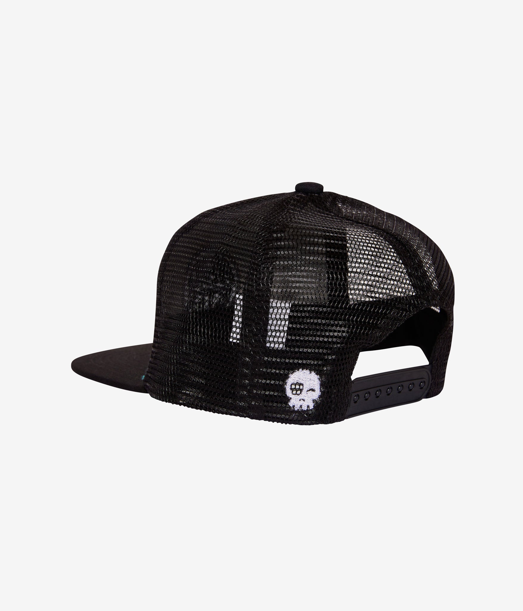 Boardview trucker hat